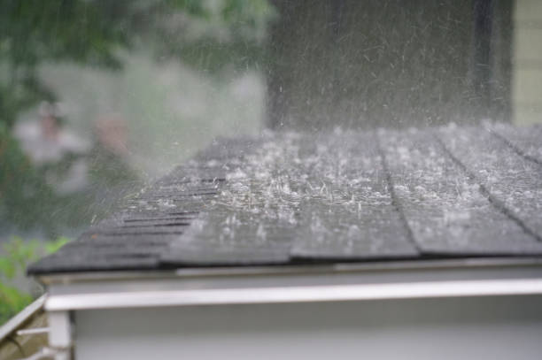 Roof Insulation in Roseland, LA